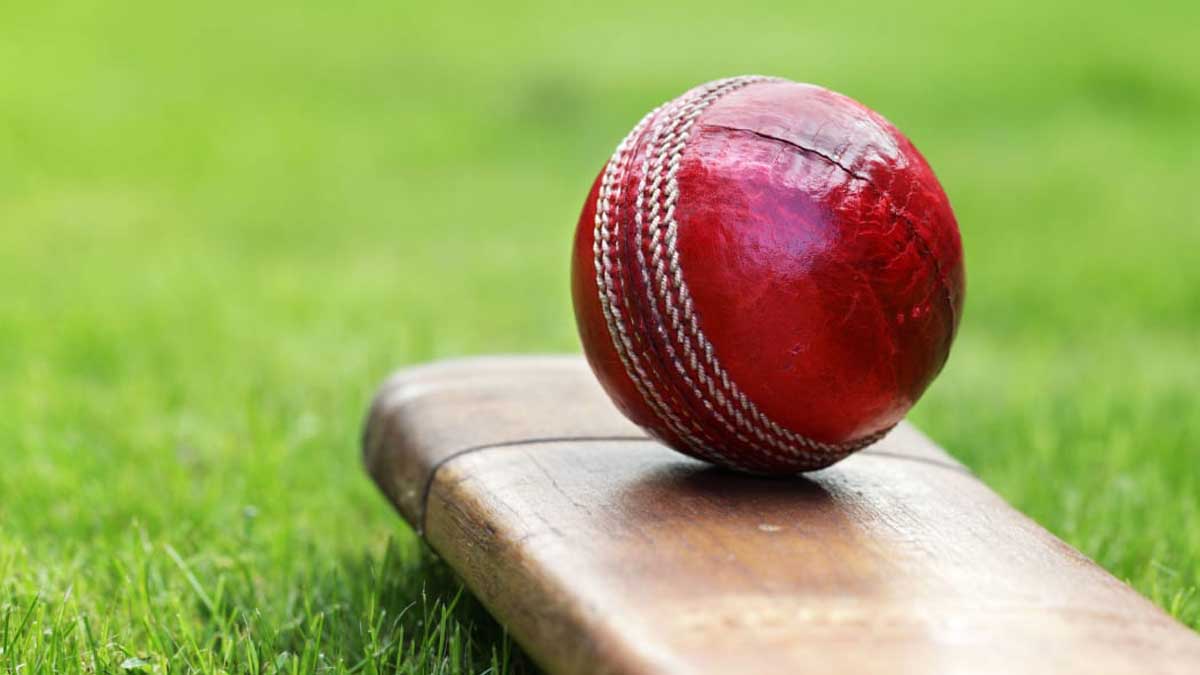 HOW DOES CRICKET BETTING WORK?